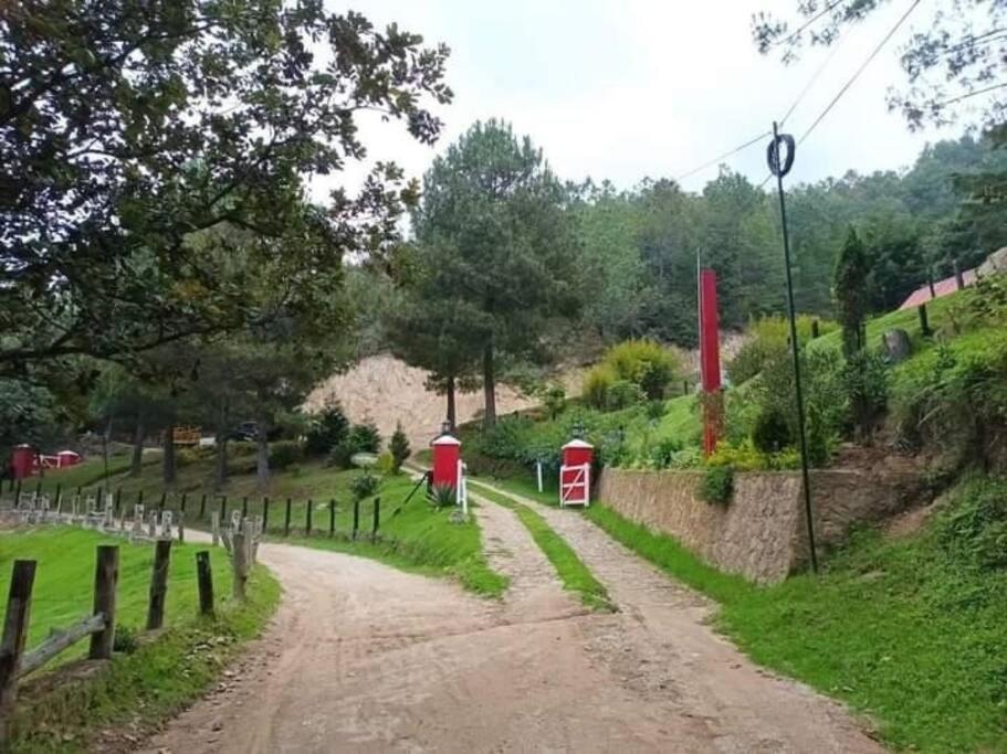 Finca Chuchiya Cabanas Tecpan Tecpán Guatemala Exteriér fotografie